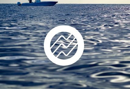 Navionics+ Large térképfrissítés (Update, MSD adathordozón)